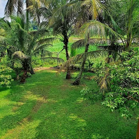 Greenheart Villa- Top Floor, Specious 3Br-1Br Ac - Hot W, Peace In Greenary & Fresh Air -Travel Awards 2025 Maharagama Extérieur photo