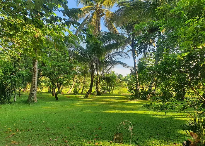 Greenheart Villa- Top Floor, Specious 3Br-1Br Ac - Hot W, Peace In Greenary & Fresh Air -Travel Awards 2025