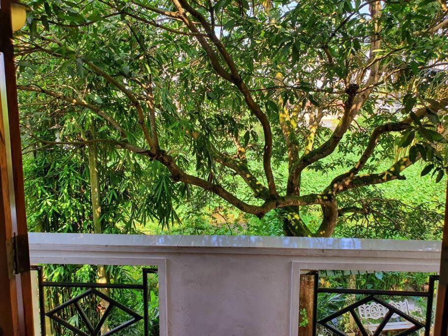 Appartement Greenheart Villa- Floor, Specious 3br-1br Ac - Hot W, Peace In Greenary & Fresh Air -travel Awards 2025 Maharagama