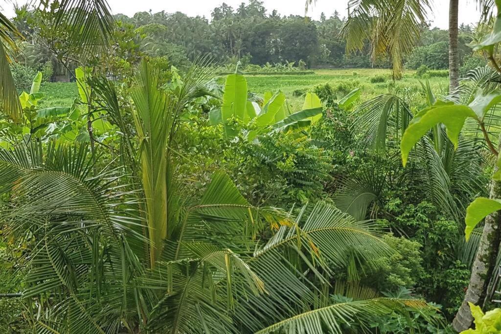 Greenheart Villa- Floor, Specious 3br-1br Ac - Hot W, Peace In Greenary & Fresh Air -travel Awards 2025 *