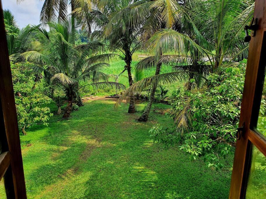 Greenheart Villa- Floor, Specious 3br-1br Ac - Hot W, Peace In Greenary & Fresh Air -travel Awards 2025 Appartement *