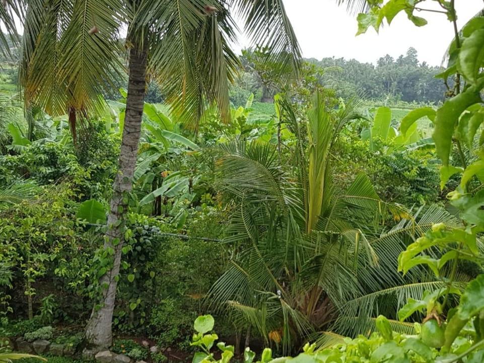 Greenheart Villa- Floor, Specious 3br-1br Ac - Hot W, Peace In Greenary & Fresh Air -travel Awards 2025 Maharagama