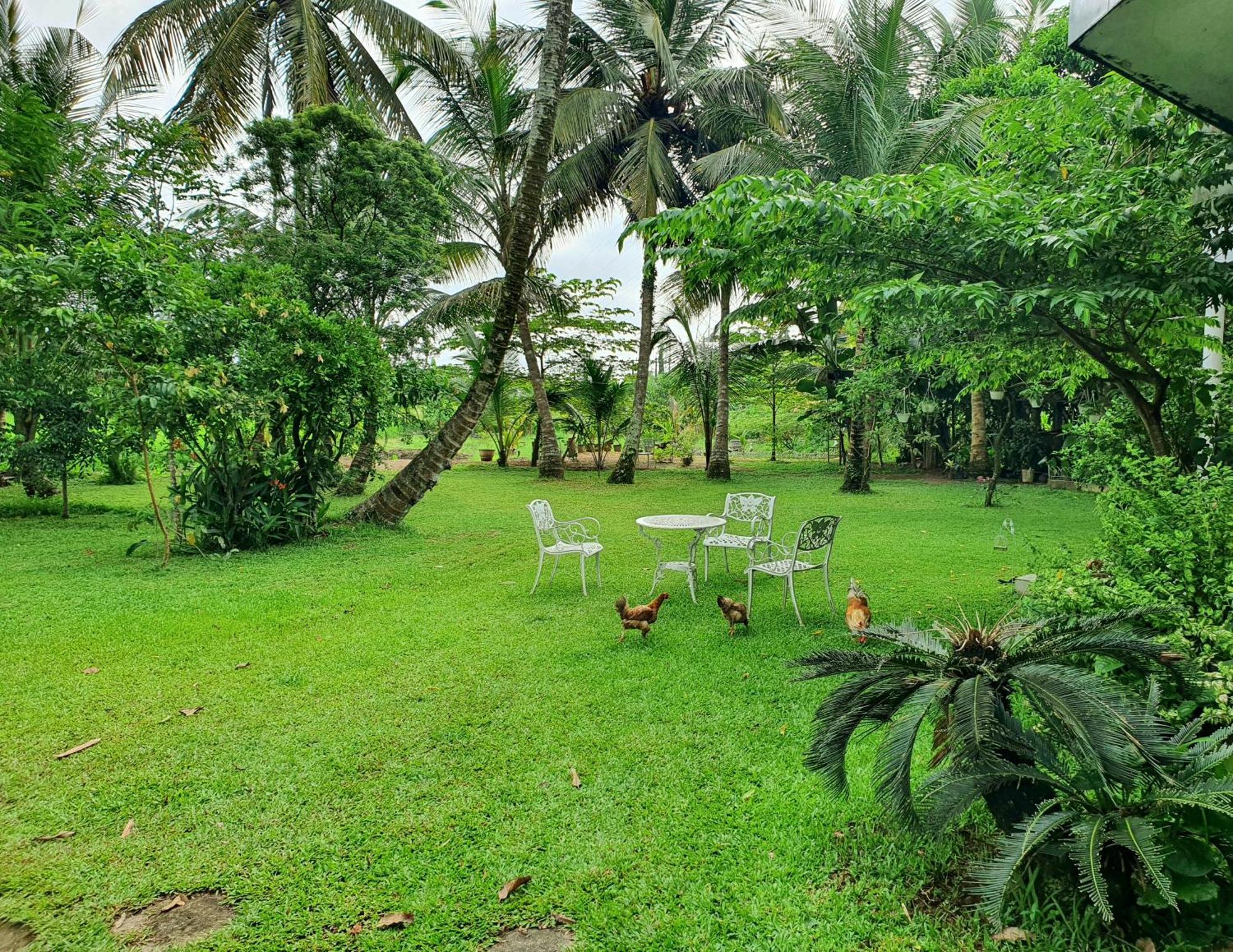 Greenheart Villa- Floor, Specious 3br-1br Ac - Hot W, Peace In Greenary & Fresh Air -travel Awards 2025 Appartement *