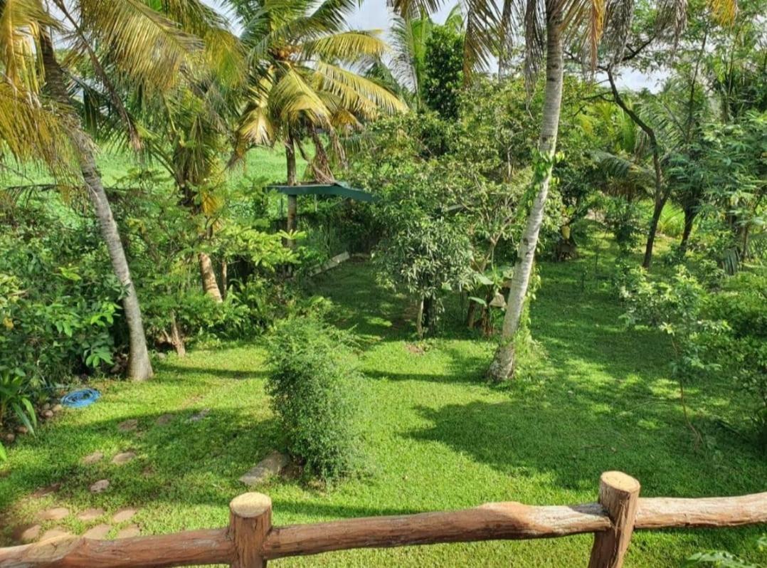 Greenheart Villa- Floor, Specious 3br-1br Ac - Hot W, Peace In Greenary & Fresh Air -travel Awards 2025 * Maharagama