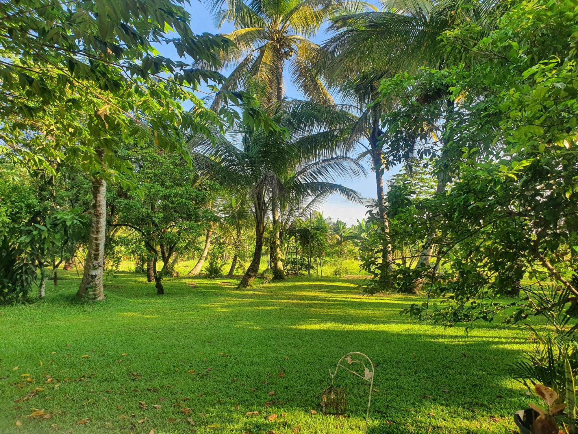 Appartement Greenheart Villa- Floor, Specious 3br-1br Ac - Hot W, Peace In Greenary & Fresh Air -travel Awards 2025